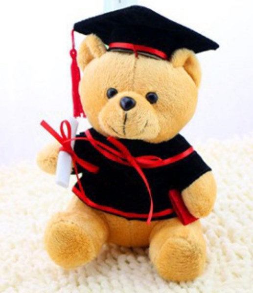 Gấu cử nhân, gấu bông tốt nghiệp